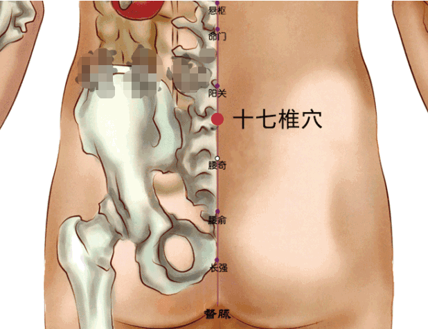 鱼腰的准确位置和作用，个个都是穴位学中的高手
