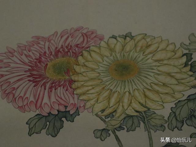 葩的读音（葩怎么读，葩是什么意思（金佛座、搓粉妆、绶带紫、鹤头丹）