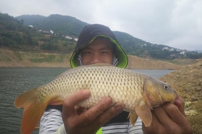 野外钓鲤鱼神饵配方大公开，效果惊人，钓鱼老手都赞不绝口！
