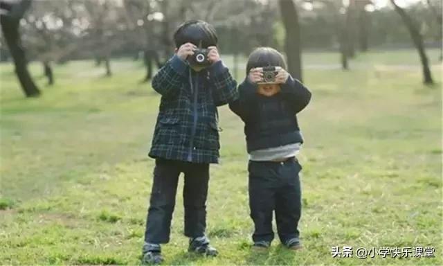 十句借物喻理的句子，借物喻理的文章有哪些（小学超全阅读理解答题技巧）