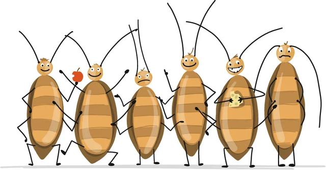 为什么有的蟑螂会飞有的不会,为啥有的蟑螂会飞(北方人永远不知道) 为什么有的蟑螂会飞有的不会,为啥有的蟑螂会飞(北方人永远不知道)