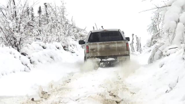 黄金矿工之新手挖矿秘籍，黄金矿工教程（加拿大新手淘金客荒野挖矿）