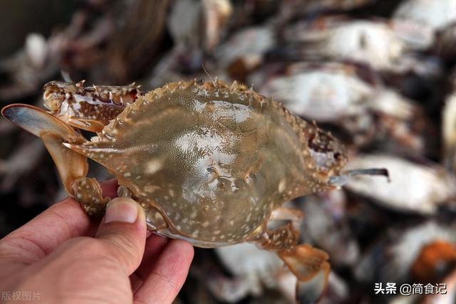 大闸蟹怎么保存，大闸蟹放冰箱怎么保存（大厨：直接放冰箱是大错）