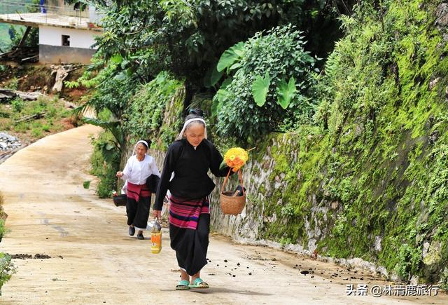 西双版纳几月份去最好，西双版纳自由行旅游攻略5天（云南这些美丽小县城）