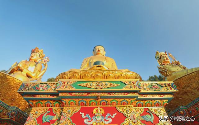 佛教发源地在哪个国家，佛教发源地在哪个国家最多（佛教究竟发源于哪个国家）