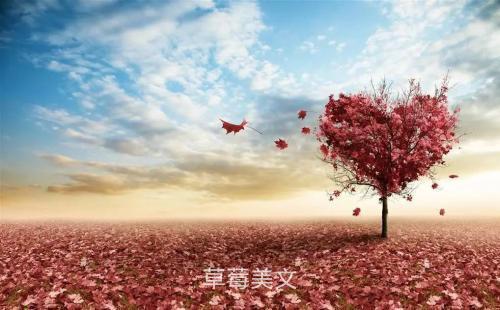 体谅和心疼对方的句子，体谅和心疼对方的说说（心疼你）