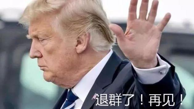 阿中是什么意思，中阿指的是什么（2019十大流行语，我上头了）