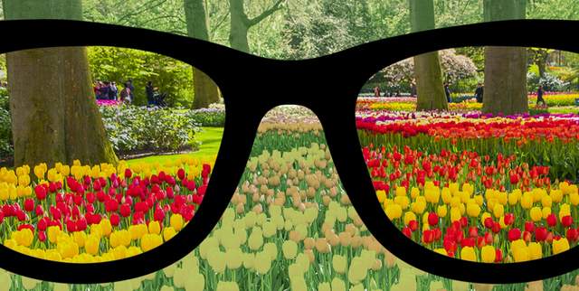 色盲能治好吗，色弱训练36张图片（自己或者孩子有没有色盲）