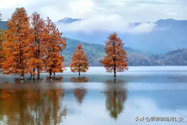 描写春夏秋冬四季的古诗，春夏秋冬四季古诗（诗词丨《唐诗三百首》中的四季）