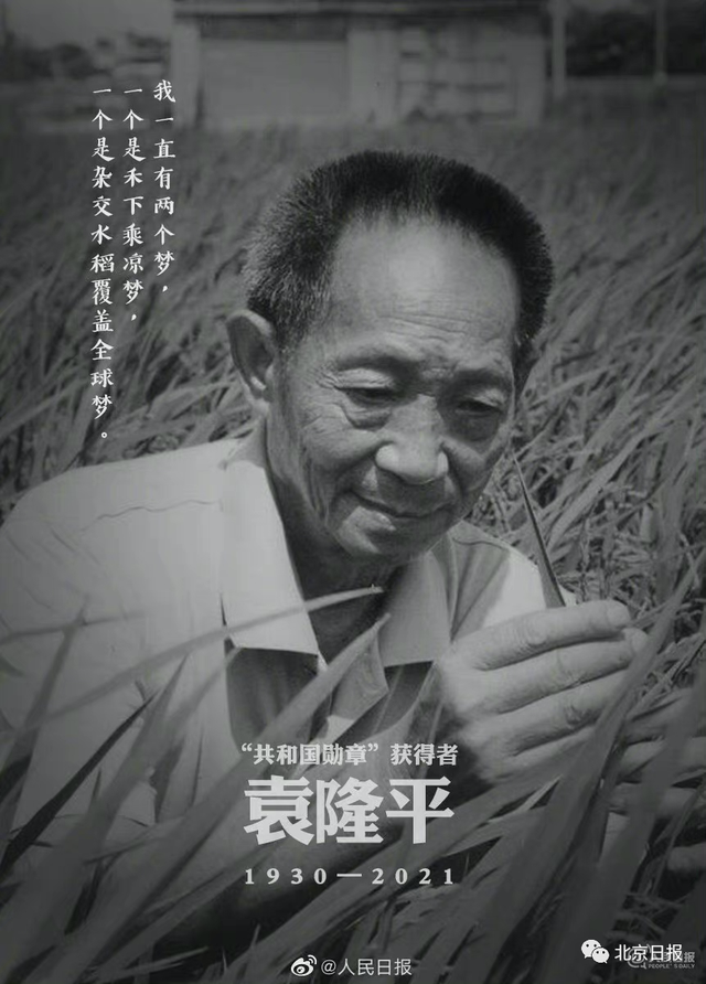 袁隆平杂交水稻，袁隆平多少年研究出杂交水稻（重磅长文重温杂交水稻诞生始末）