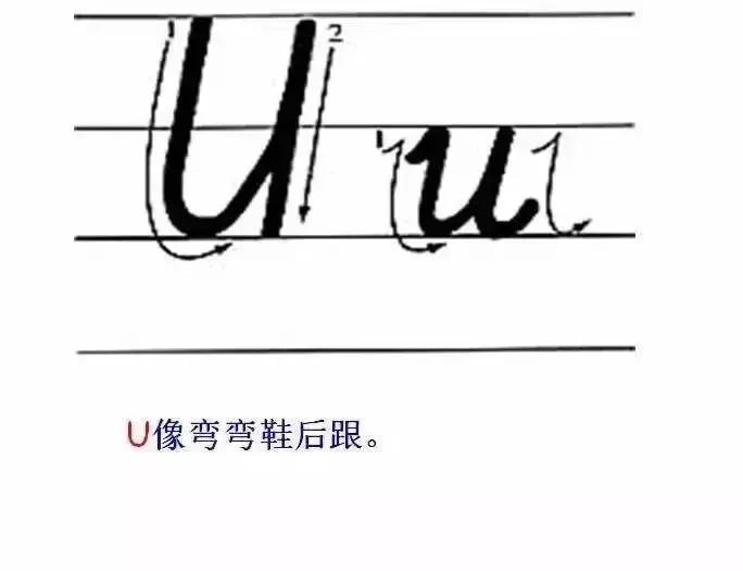 语文字母表大小写的正确书写格式，26个字母书写顺序笔画