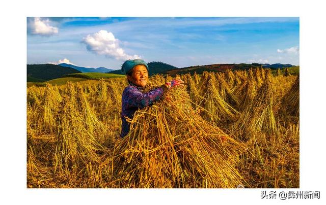 jkmtl00是什么型号，jkmal00是什么型号的（2020年凉山第二届全民手机摄影大展作品欣赏）