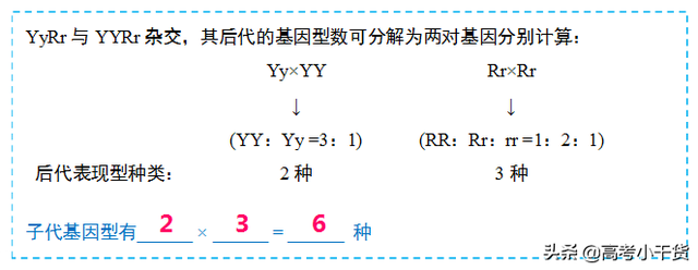 什么是基因的遗传信息，什么是基因的遗传信息传递（<基因、遗传篇>建议收藏）