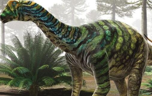 恐龙分类及图片名称图解,各种恐龙的资料介绍大全