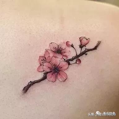 纹身各种图案及含义，纹身图案及其含义（弄懂这些图案背后的意思）