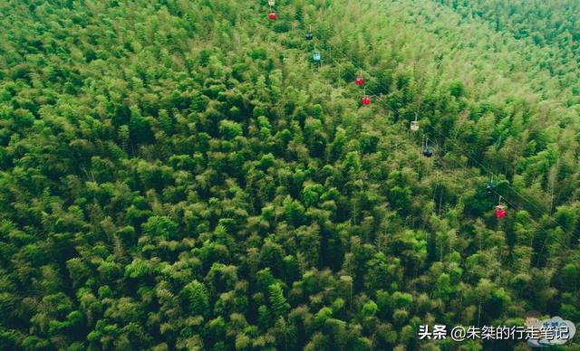 宜兴竹海和南山竹海哪个好玩，宜兴竹海好还是南山竹海好（国内竹海景区中唯一的5A）