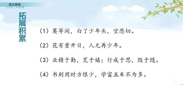 指指点点的意思，部编语文四年级下册《语文园地八》图文解读+知识点+课堂测试