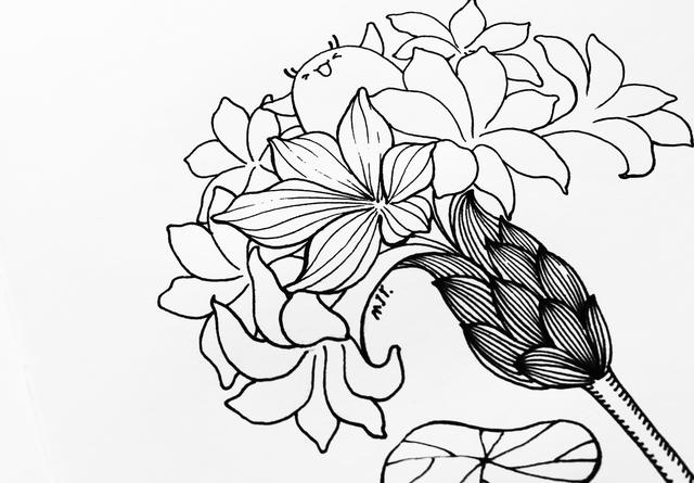 儿童简笔画入门初学技巧，幼儿入门简笔画（简笔画入门，手把手教你画）