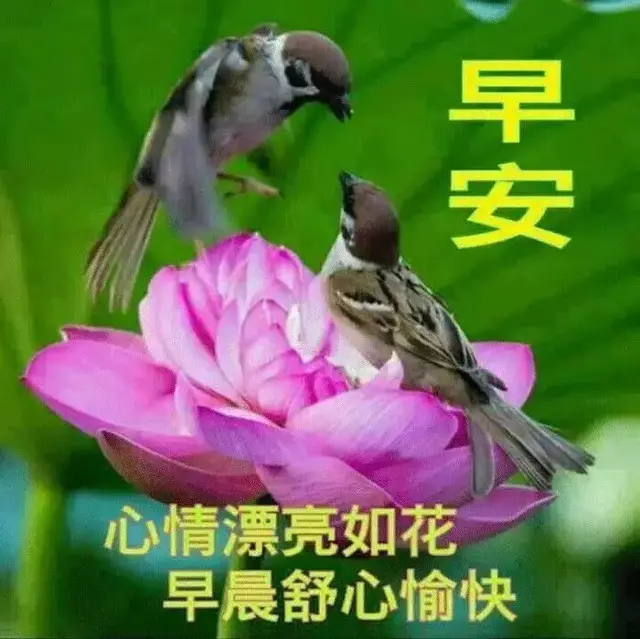 结婚祝福语动态图片，恭喜结婚的祝福语动态图片（有的人是因为爱情）