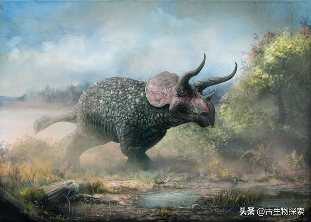 triceratops，triceratops是什么恐龙（三角龙能反杀霸王龙）