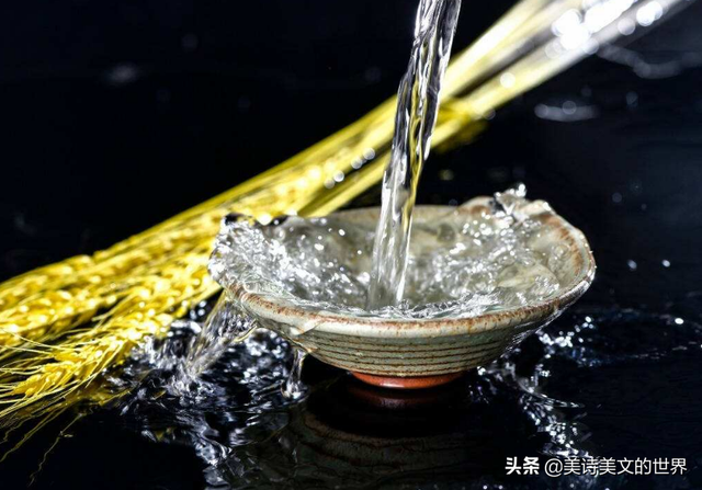 对影成三人是什么意思，举杯邀明月对影成三人的意思（李白的“对影成三人”是名句）