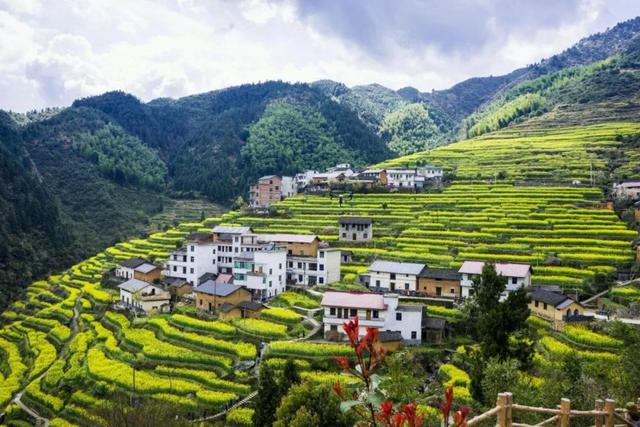 开化县属于哪个市，开化市有哪些镇（18万亩油菜花不逊色于婺源）