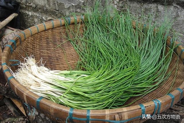 小葱和大葱的区别，小葱和大葱的区别有哪些（国内葱属蔬菜大全，你认识几个）