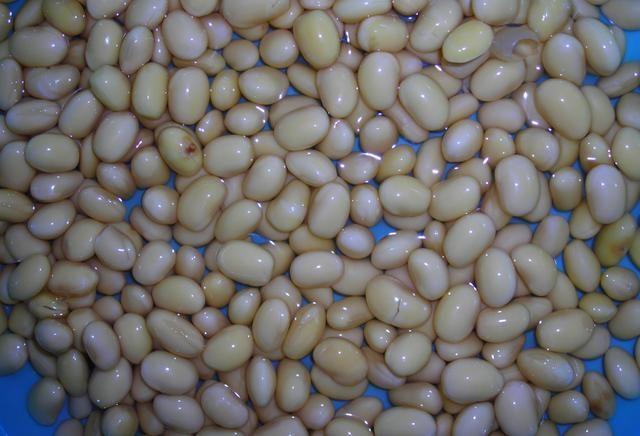 如何自泡绿豆芽，如何自己泡绿豆芽（一周长出鲜豆芽）