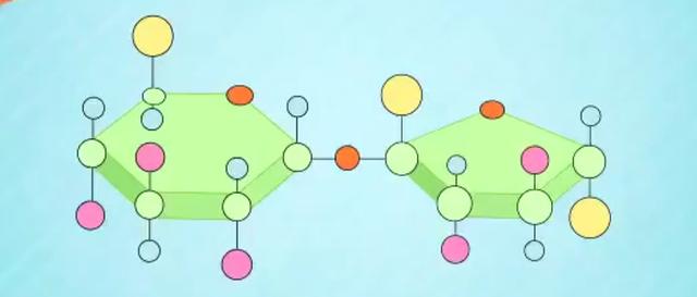 糖是碳水化合物吗，食物中的碳水化合物就是糖吗（所以我们被称为碳水化合物）