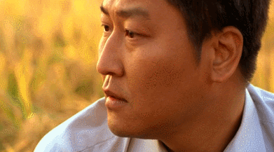 杀人回忆凶手是谁，《杀人回忆》凶手是谁（《杀人回忆》的凶手终于被找到了）