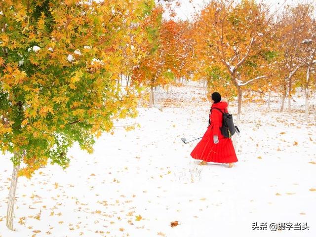 情侣唯美雪景图片，情侣唯美雪景图片真实（冬日初雪印象：一半冬雪）