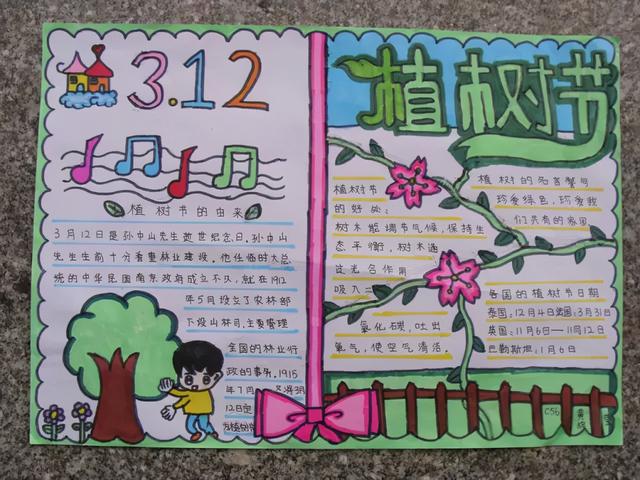 植树节黑板报内容大全，植树节手抄报内容有哪些（3.12植树节手抄报素材+模板+1~6年级作文范文）