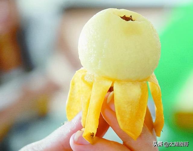 白枣吃了有什么作用急急急，白枣的营养价值及功效（开启了太湖洞庭一年的花果飘香）