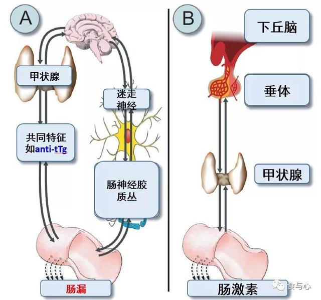 sfb是什么意思，sfnb是什么意思（你必须知道的热知识<二>）