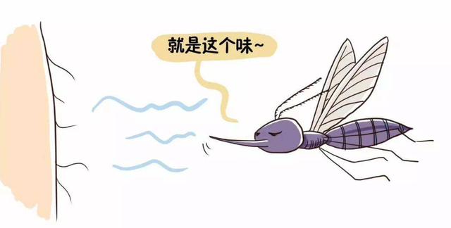 水蚊子咬人吗，打死一只蚊子判几年（西瓜视频给你科普夏天宿敌）
