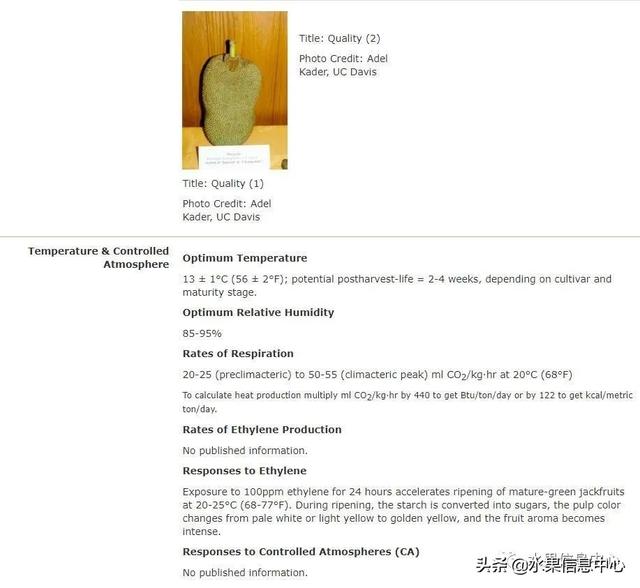 西梅能冻起来保存吗，西梅能冻起来保存吗百度（关于水果保鲜的疑问解答）