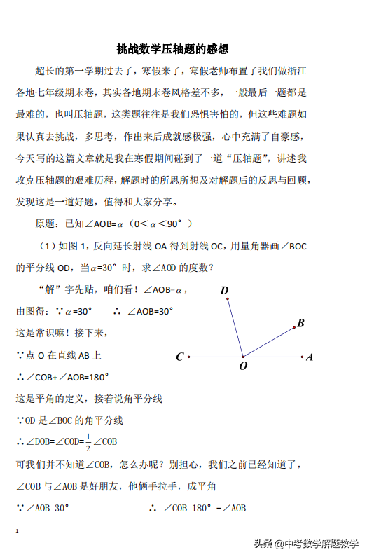 数学小论文怎么写，数学小论文怎么写100字（分享学生写的数学小论文----挑战数学压轴题的感想）