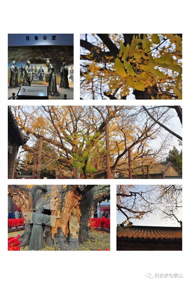 曾比肩齐鲁的莒县，靠什么再现“毋忘在莒”，勿忘在莒53度酱香型多少钱（\u003c毋忘在莒\u003e）