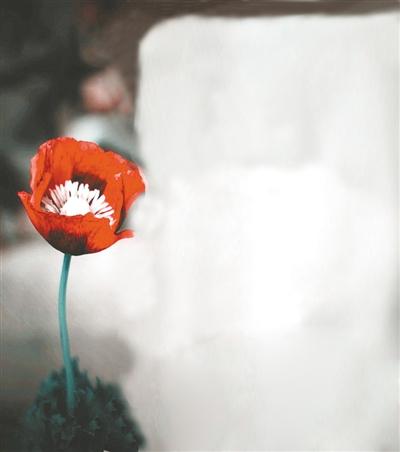 沈从文简介及作品，沈从文的主要作品（走进沈从文）