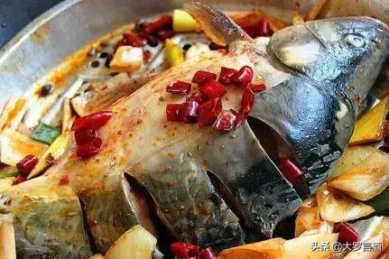 丹顶鹤的家乡在哪个省，丹顶鹤是哪个省的（丹顶鹤的故乡：辽宁盘锦）