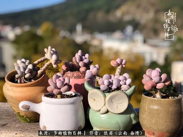 很丧很失望——低眉.，皱着眉头哭丧（陪你度过寒冷的圣诞平安夜图片）