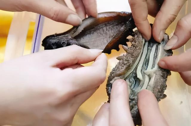 人造海参如何鉴别，人工合成海参的识别（海参也有真假？你能分得清吗）