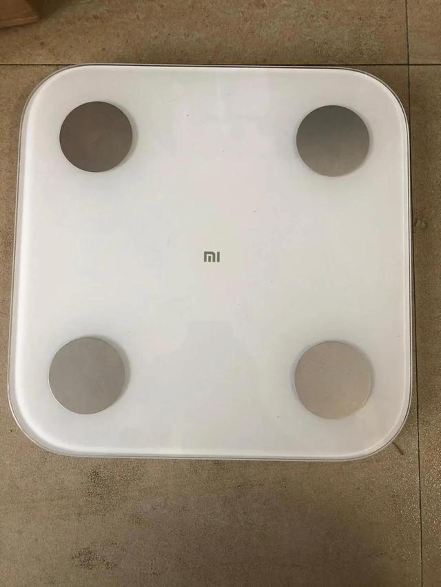 脂肪率是什么意思，体脂肪率是什么（体脂率-及脂肪相关知识）