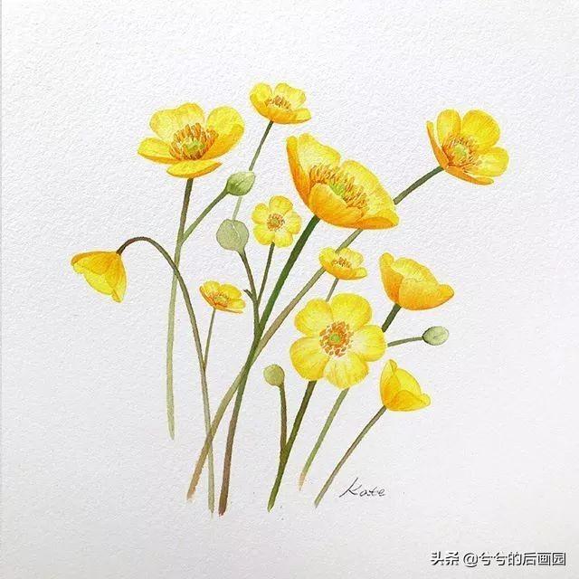 简单的花怎么画，玫瑰花画法（3个简单步骤教你画出一朵小花花）