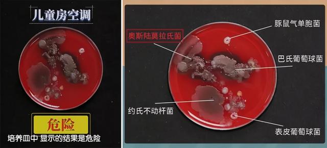 宝宝夏天发烧可以开空调吗，夏天宝宝发烧能开空调吗（家长三种错误做法是“火上浇油”）