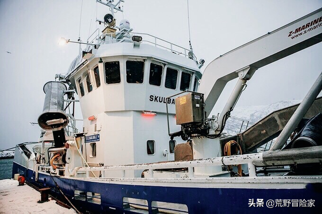 为什么北极的鳕鱼冻不死，鳕鱼只有冷冻的吗（大西洋鳕鱼与普通鳕鱼根本不是一回事）