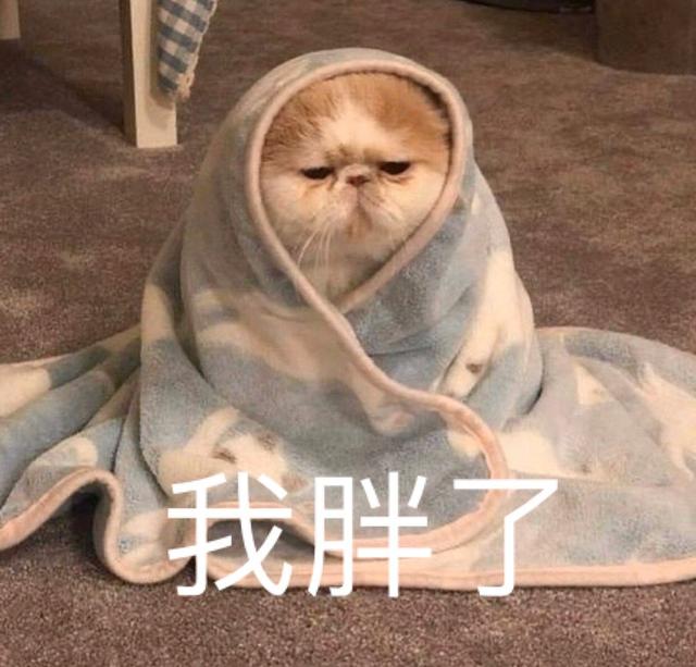 小仙女专用表情包，专门怼小仙女的表情包（适合小仙女用的可爱表情包图片）