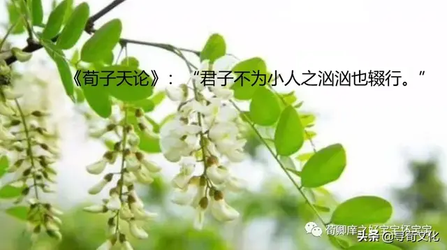 锱铢必较，气势汹汹-荀子四字成语荀卿庠读书会整理（锱铢必较有两种意思）