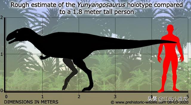 re网名的含义，Re微信昵称（2020古生物学家到底命名了多少种恐龙）