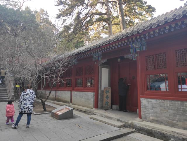戒台寺与潭柘寺区别，戒台寺与潭柘寺区别是什么（戒台寺一日游）